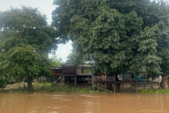IMG-20250830-WA0136