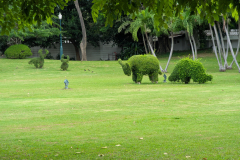 PXL_20250830_013857505