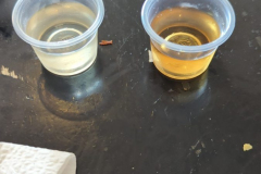 tequila & mezcal