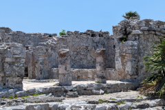 ruins (can you see the iguana?)