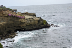 zoom on cliff
