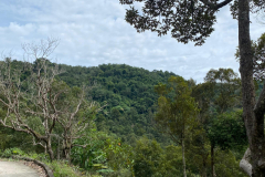 IMG-20240903-WA0015