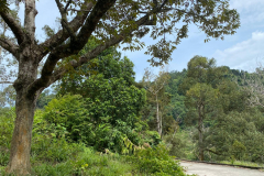 IMG-20240903-WA0017