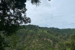 IMG-20240903-WA0019