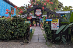 miss t\'s