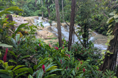 dunns river falls