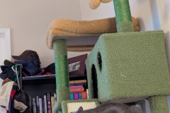 Bert & Ernie