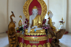 PXL_20240903_071337751