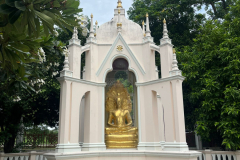 IMG-20250830-WA0009