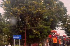 IMG-20250830-WA0084